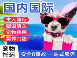 白城长安国际宠物托运 【国